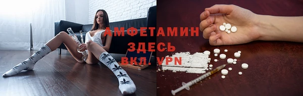 молекула духа Няндома