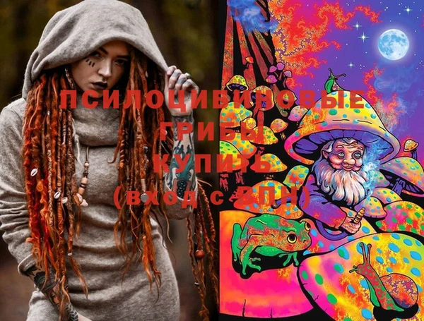 молекула духа Няндома