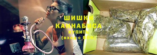 молекула духа Няндома